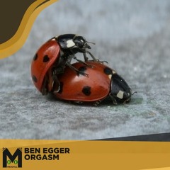 Ben Egger - Orgasm (Original mix)