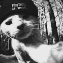 hiptothehop remix