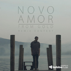 Novo Amor - "From Gold" (ForHu Remix)