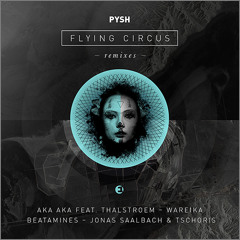 Pysh - Flying Circus (AKA AKA feat. Thalstroem Remix)