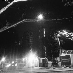 I Will Follow You Into The Dark
