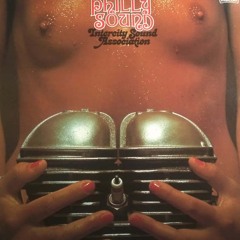 Intercity Sound Association "Sun Ship/Stone Path-Breaks“  ShoNufffunk Edit