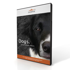 Dogs -SoundFuse Sound Effects Library