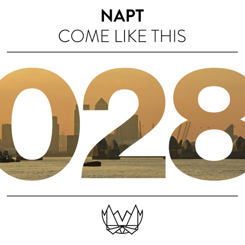 NAPT - Party Politics [NEST028]