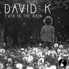 David K. - Even in The Rain (Promoset May 2014)