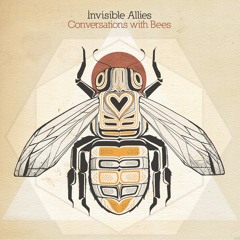 Invisible Allies - Bee's Longing [EXCLUSIVE PREMIERE]