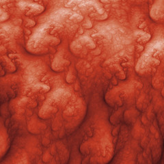 Bitche$ Love Cake (Baingani)