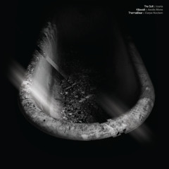 ThermalBear - Carpe Noctem (D001)