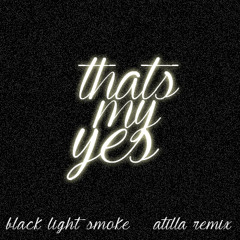 Black Light Smoke - Thats My Yes (AtillA remix) Live version