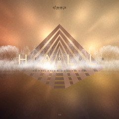 [dtcomp001] Matthias Springer - Squelched Perspective (Hall of Dub Vol. 1) - www.deeptakt.net -