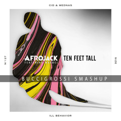 Afrojack vs. CID - Ten Feet Tall vs. iLL Behavior (Buccigrossi Smashup)