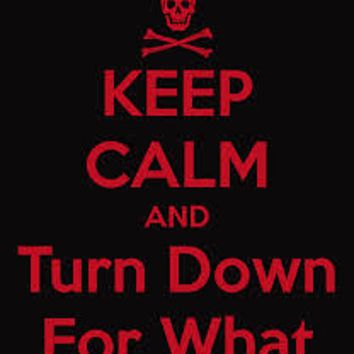 Turn Down For The Bird (Mashup)