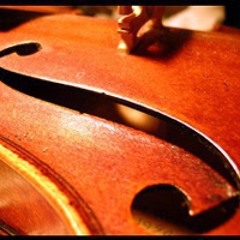 String Music by Frank Felice