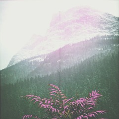 Disco at Druid Heights