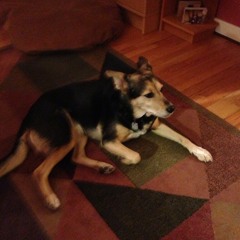 guy tries to get ME! tube???