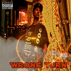 Wrong Turn x King S.C.O. Produced x Precise Thoughts