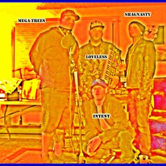 Whos Wrong.(ft. MegaTress,BobbyLoveless,MC Intent,Shag Nasty)