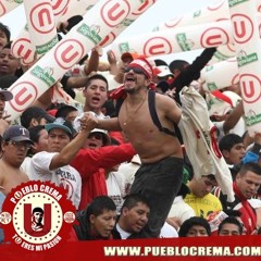 DALE CAMPEON VAMOS GARRA CREMA