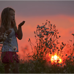 Новый Иерусалим – Я подарю тебе