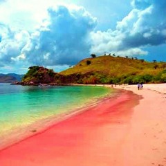 Seventeen - Jalan terbaik (cover)