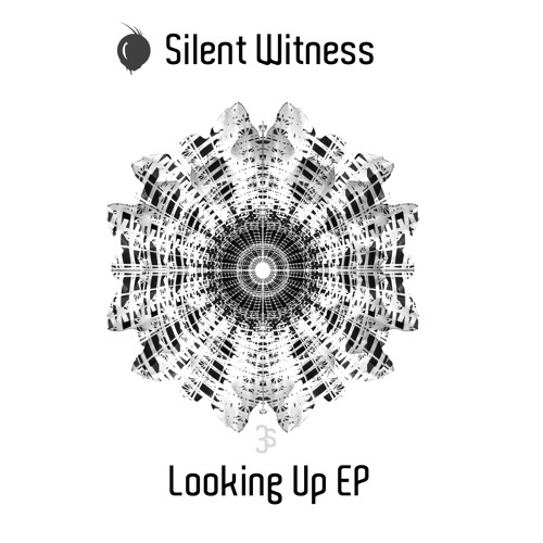 The Silent Witness of the Stones