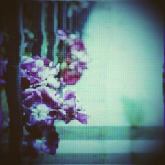 Withered