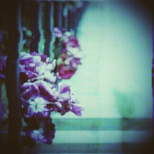 Withered