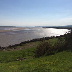 Sometimes We Feel Sad