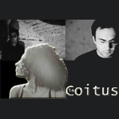 In Coitus - What She Could Not Tell