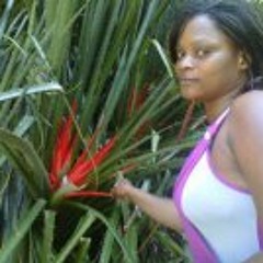 Jalami  song  by  ledy  dora