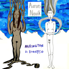 Novik - Acoustic Duo 5