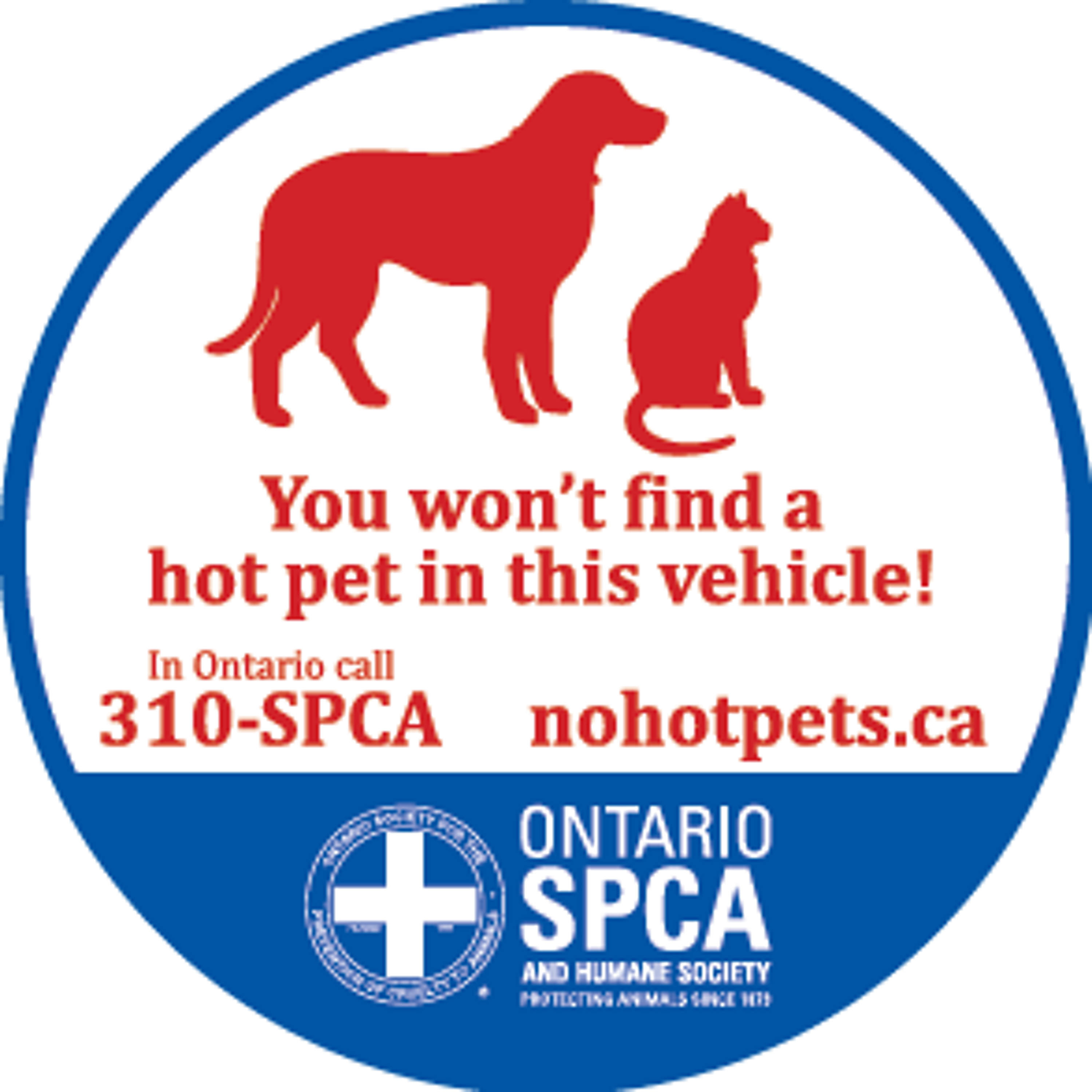 Ontario SPCA - Talking all things animal-related!