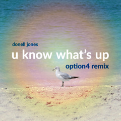 Donell Jones - U Know What's Up (option4 Remix)