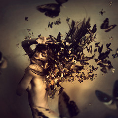 Bebo - Free Your Soul