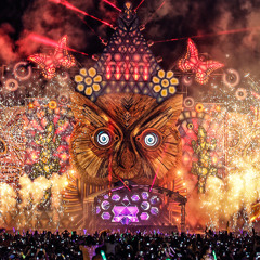 Mysteryland's Must-See Acts: Essential Playlist