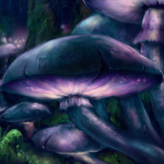 Fairyland (Preview)