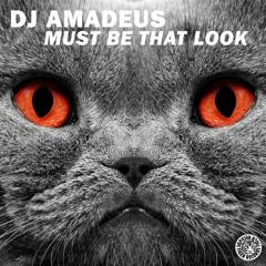 DJ Amadeus - Must Be That Look (Radio Edit)[Kontor Records]