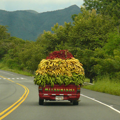 Pull Up Collective & Audiomission - Raggy Roads - Clip