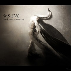 MS & LVL *BLACK SWAN CONSTRUCTION* *Livecut*