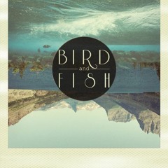 Bird & Fish - Home