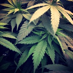 In My Stone - Decifero & Jay Are Eh (Produced by L.O.S)