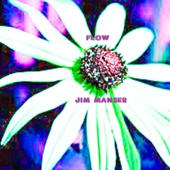 FLOW  [a Purpose For Longtivity]