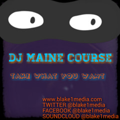 Take What You Want (Original Mix)