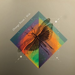 Wideness - Orange Poem & Nancy Viégas