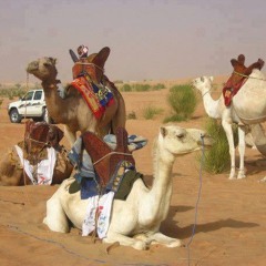 Cheikh Wal Abba /tembarma /الشيخ ول آب/تمبرمه