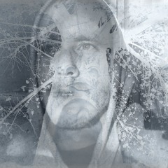 Vishnu - Fozzilized 2