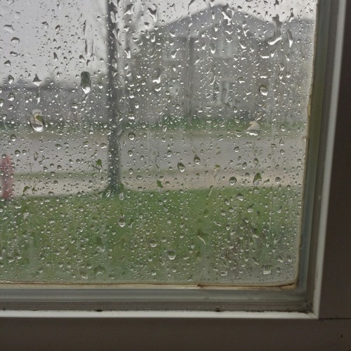 Kaun kuri_K.s Makhan