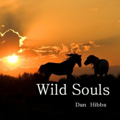 Wild Souls (2014)- Dan HIbbs