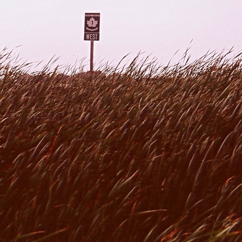 Field Tracker #64 - Taylor Deupree October-December; July 28, 2013