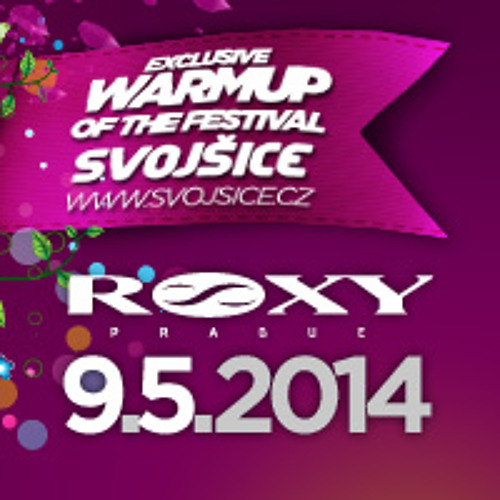 vik @ elektra stage - roxy 09.05.2014